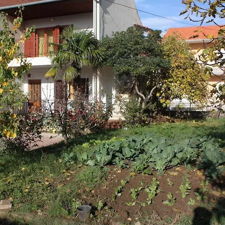 5899d Apartment Biograd Na Moru