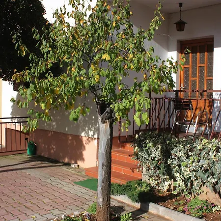 5899d Lejlighed Biograd Na Moru